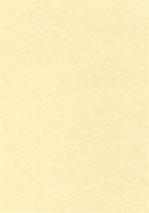 Papír, textura pergamen champange, A4, 95 g, APLI