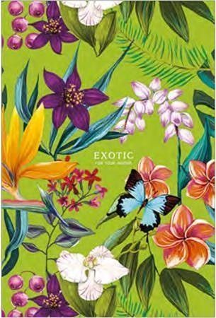 Sešit "Exotic", mix motivů, čtverečkovaný, tvrdé desky, B5, 80 listů, SHKOLYARYK