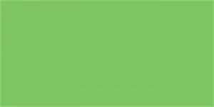 Foto karton, oboustranný, 50x70 cm, zelený, 300 g/m2 