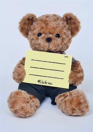 Školní sešit 544 &quot;Medvídek s cedulkou&quot;, A5 linkovaný, 40 listů, VICTORIA