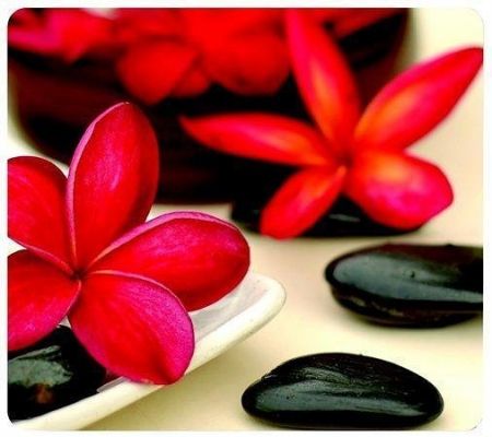 Podložka pod myš, recyklovaná, FELLOWES "Earth Series", květy