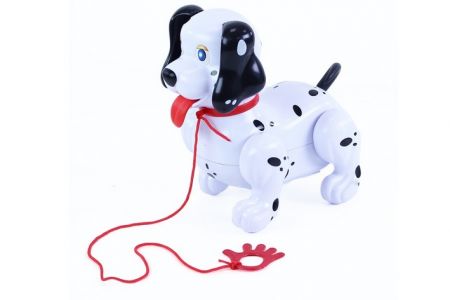 Pes chodící se zvukem a vodítkem