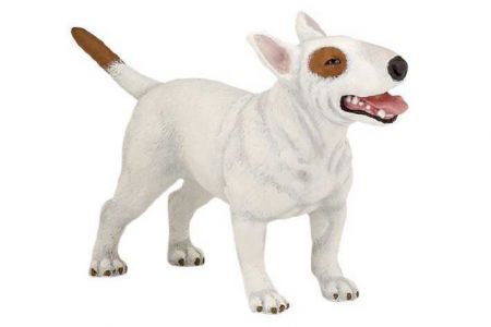 PAPO Bull Terrier