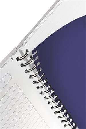 Blok "Executive", drátěná kroužková vazba, A4, linkovaný, 80 listů, organizér, LEITZ