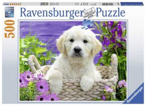 PUZZLE Sladký zlatý Retriever 500 dílků