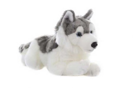 Plyš Husky 31cm