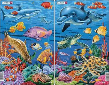 Puzzle Mořský život 25 dílků