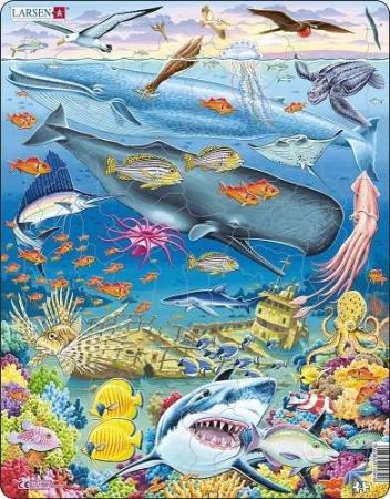 Puzzle Velryba,žralok a Titanik 65 dílků