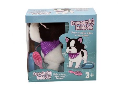 Francouzský buldoček chodící