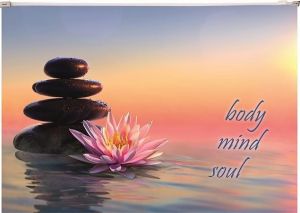 Desky na zip "Zen", A4, PP, 160 micron, PANTA PLAST