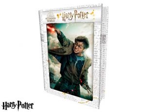 3D PUZZLE Harry Potter-Harry Potter 300ks