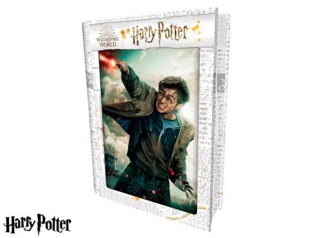 3D PUZZLE Harry Potter-Harry Potter 300ks