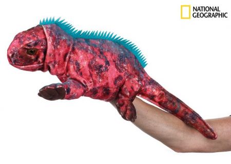 National Geographic maňásek Leguán