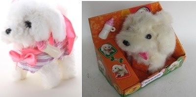 Pejsek - štěně Miki