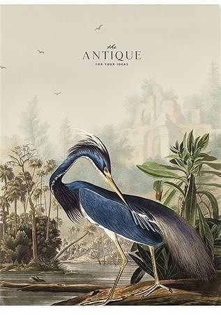 Sešit "Antique", linkovaný, mix, A4, 80 listů, SHKOLYARYK A4-080-5079L