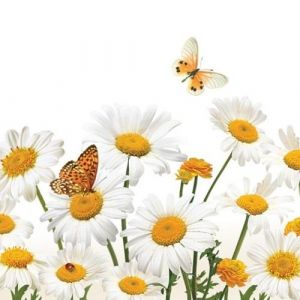 Ubrousky 33x33cm Kopretiny a motýli /SLWI004601/