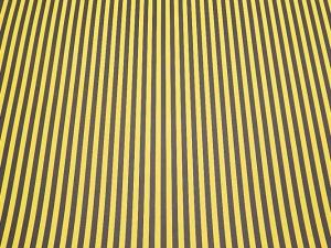 Fotokarton s proužky 300g 50x70cm žlutočerný 6019