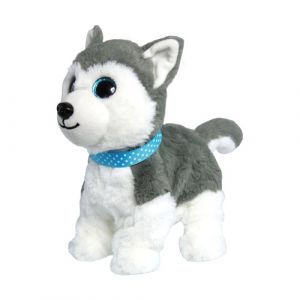 Hafíci II. Maxík - Husky