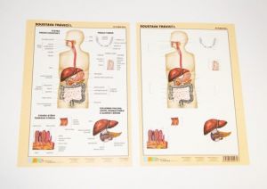 Tabulka Travicí soustava I. (7620-104)