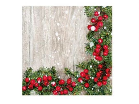 Ubrousek P 33x33 vánoční SPM250034