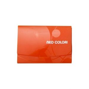Karton P+P Krabička na vizitky NEO COLORI oranžová