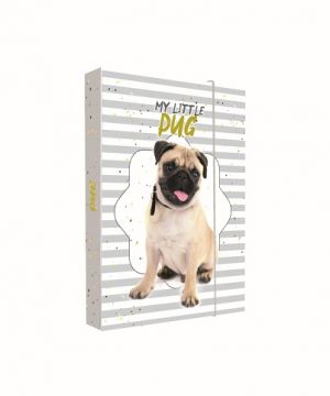 Box na sešity A4 pes