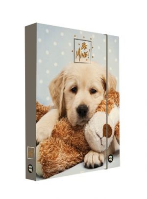 Box na sešity A4 Jumbo Be mine