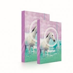 Box A4+A5 kůň romantic
