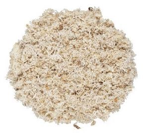 Mech v přírodní barvě 87g v sáčku