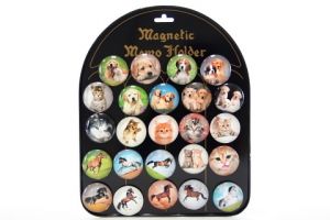 Magnety psi, kočky, koně