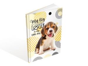 Záznamová kniha A4 MFP 100l/linka ZL4104