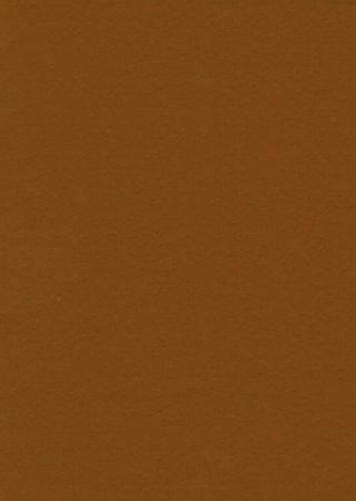 Filc hnědý světlý YC-692