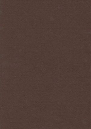 Filc hnědý tmavý YC-689