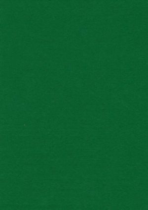 Filc zelený YC-664