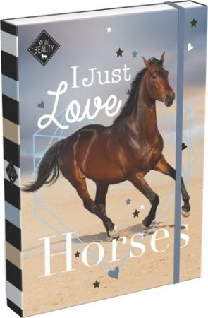 Box na sešity A4 Wild Beauty Love 22940709