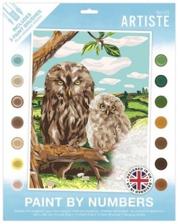 Malování podle čísel DOA 550722 - Wise Owl