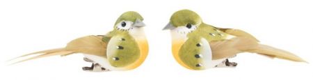 Ptáček na klipu 8cm, 2ks, zelený