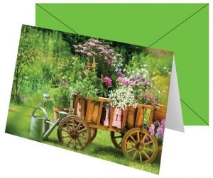 Blahopřání s barevnou obálkou bez textu s motivem léta