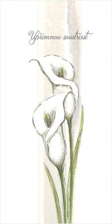 Blahopřání "NP" Celorok 312 kaly