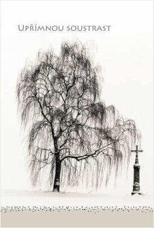 Blahopřání "NN" Celorok 387 strom