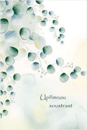 Blahopřání &quot;NP&quot; Celorok 351 lístky