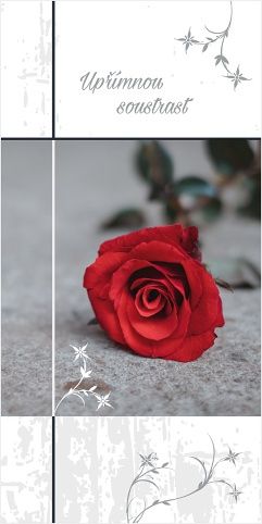 Blahopřání &quot;NP&quot; Celorok 353 růže