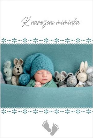 Blahopřání &quot;NP&quot; Celorok 457 kluk