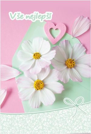 Blahopřání &quot;NP&quot; Celorok 468 kopretiny