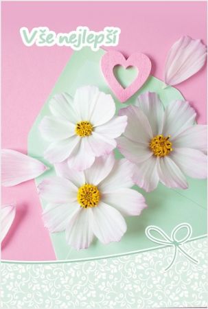 Blahopřání "NP" Celorok 468 kopretiny