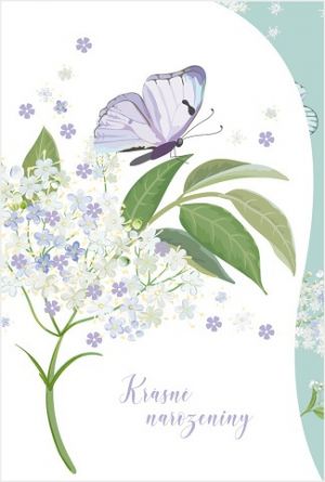 Blahopřání "NP" Celorok 480 motýl