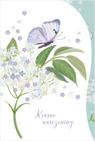 Blahopřání &quot;NP&quot; Celorok 480 motýl