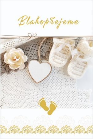 Blahopřání "NP" Celorok 481 botičky