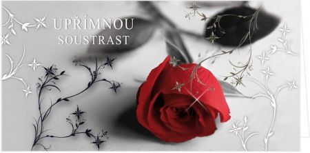 Blahopřání &quot;NP&quot; Celorok 853 červ.růže