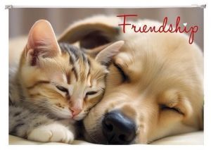 Obal se zipem "Friendship", A4, PP, 180 micron, PANTA PLAST